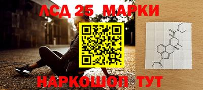 сатива Кингисепп