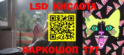 сатива Кингисепп