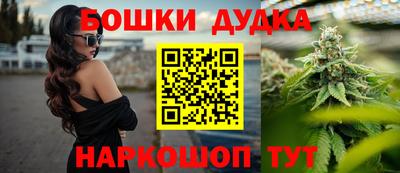 сатива Кингисепп