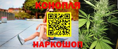 сатива Кингисепп