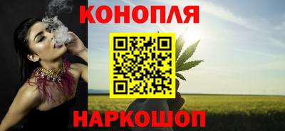 сатива Кингисепп