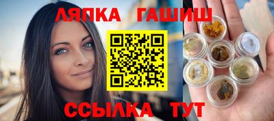 сатива Кингисепп