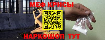 сатива Кингисепп