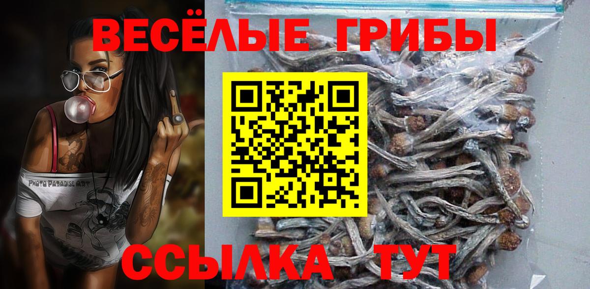 Котлас  Галлюциногенные грибы Psilocybine cubensis  Вход с VPN  Псилоцибиновые грибы мухоморы 